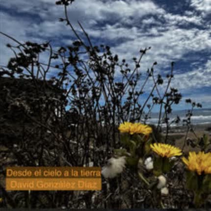 Carátula Desde el Cielo a la Tierra