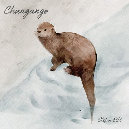 Carátula Chungungo