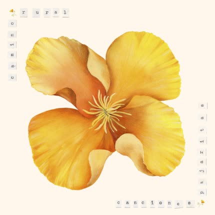 Carátula Canciones Pajaritas