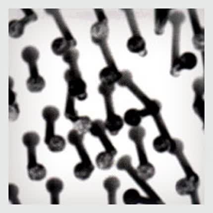 Carátula CRISTIAN FIEBRE - Vivalavirxen