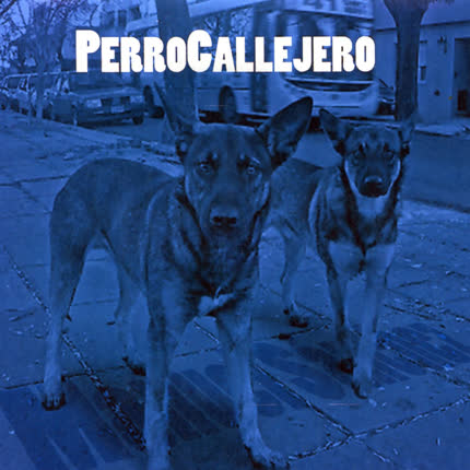 Carátula MANUEL SANCHEZ - Perro Callejero