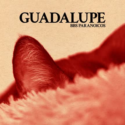 Carátula Guadalupe